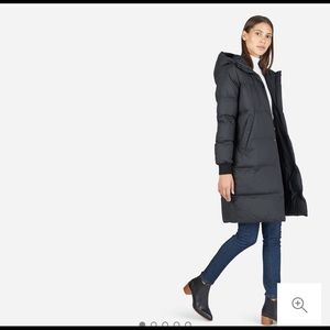 Everlane Winter Coat